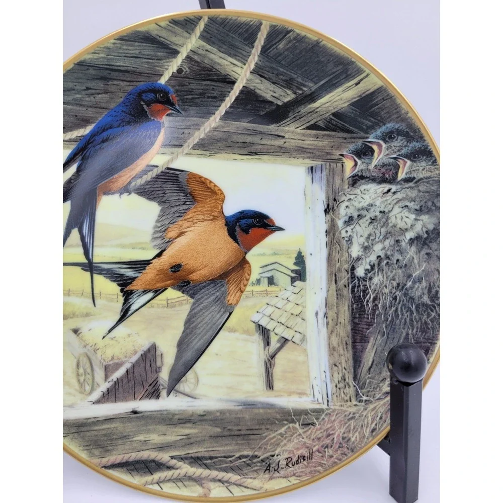 N/A barn swallow